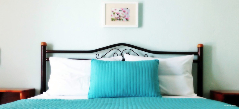 Фото Pansion Thanos