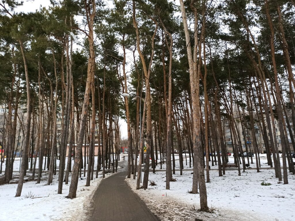 Plaza Сквер имени о. Дундича, , foto
