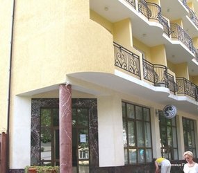 Фото Пальма