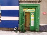 Ogorodnik (Titova Street, 13), breeding and seed production