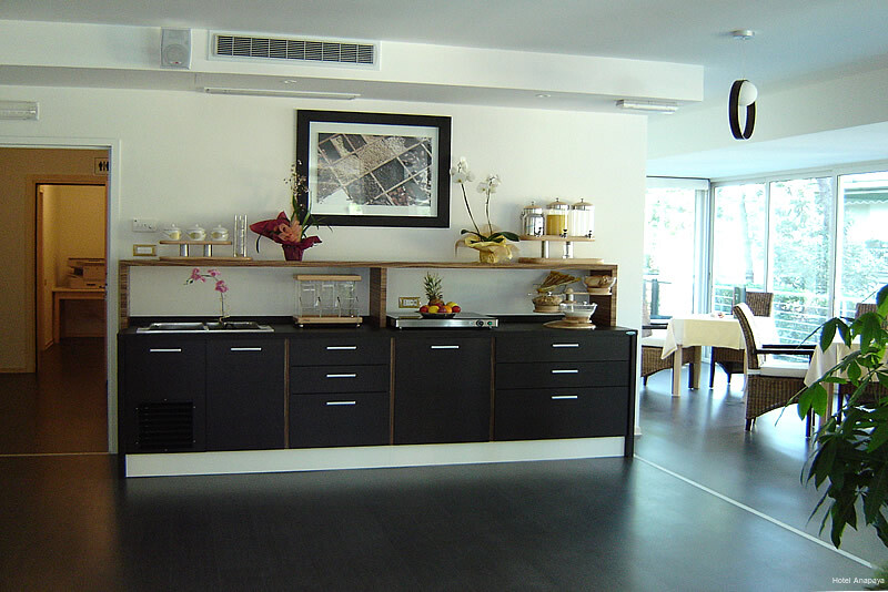 Фото Hotel Anapaya