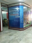 Msd Insurance (Ankara Province, Kecioren District, General Doktor Tevfik Sağlam Cad., 59), insurance company