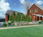 Artalyanprofi (Gladilova Street, 52/1), landscape design
