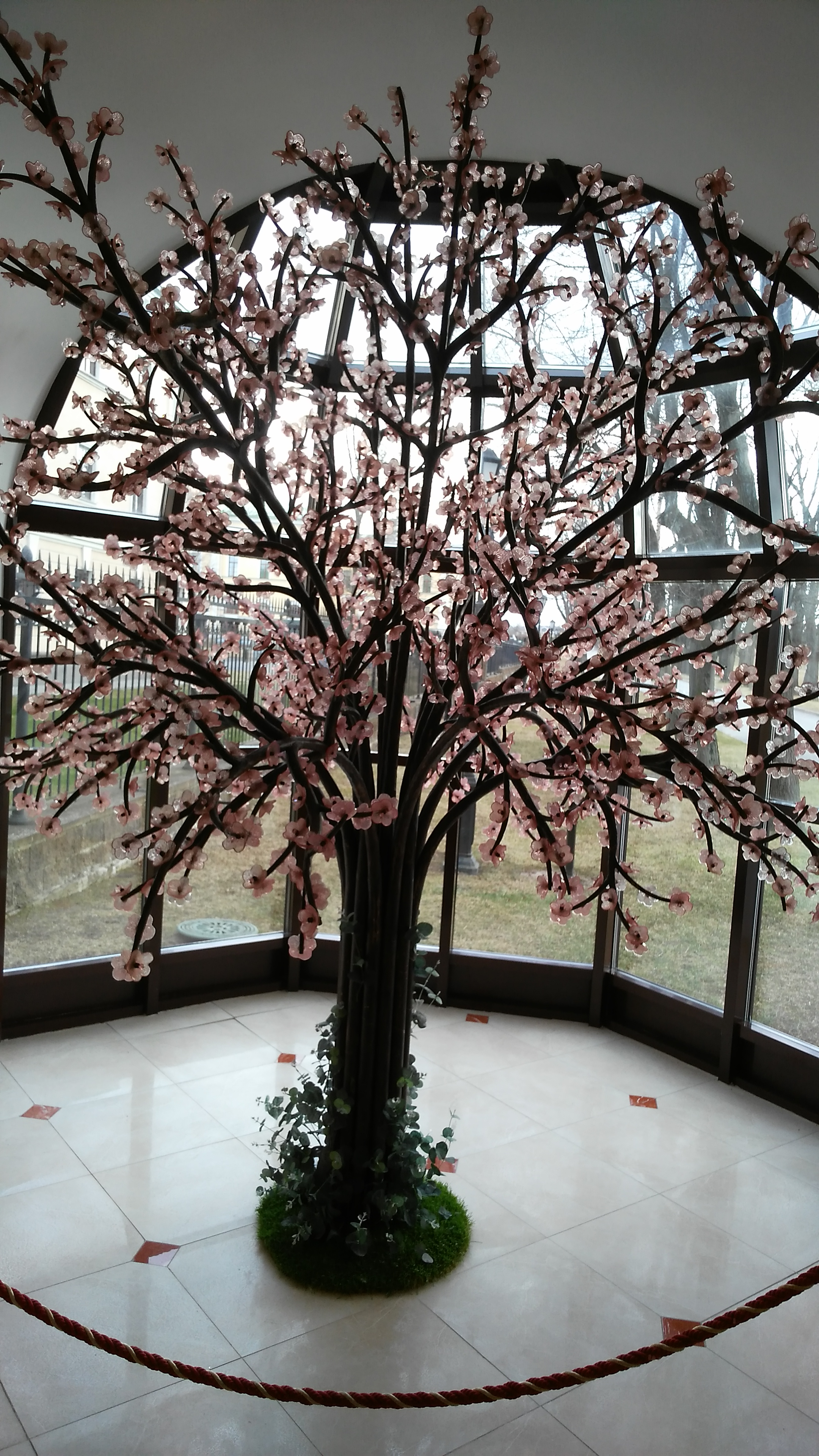 Фото Балтийская Звезда