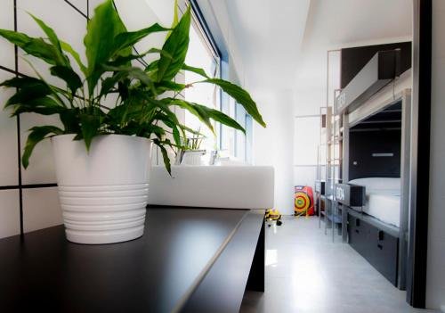 Фото Bea Beach Hostel