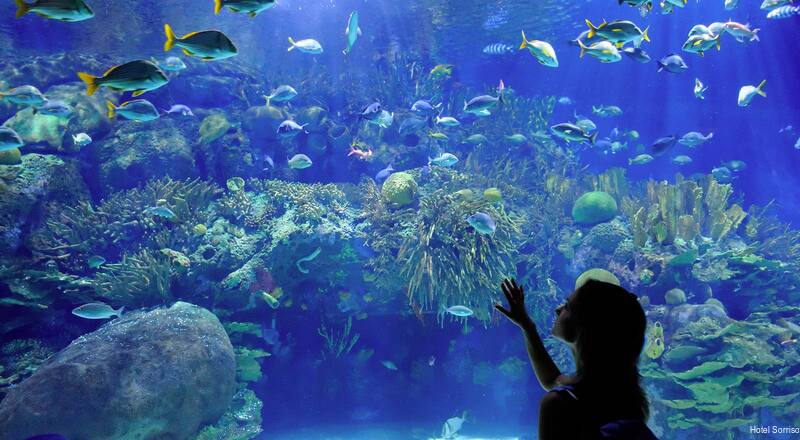 Фото Hotel Sorriso