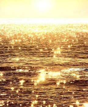 Фото Alisei Palace Hotel