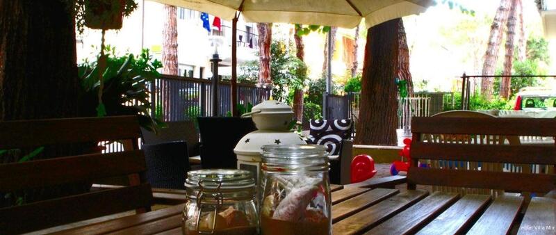 Фото Hotel Villa Mirna