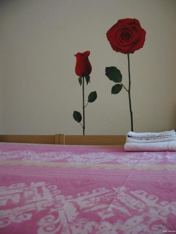 Фото Hotel Villa Mirna