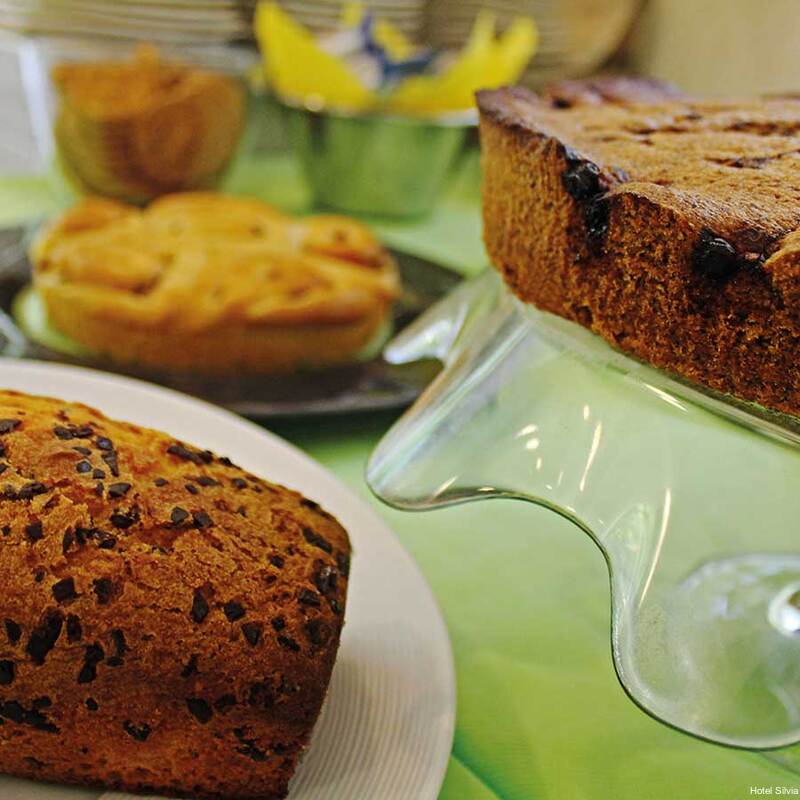 Фото Hotel Silvia Misano Adriatico