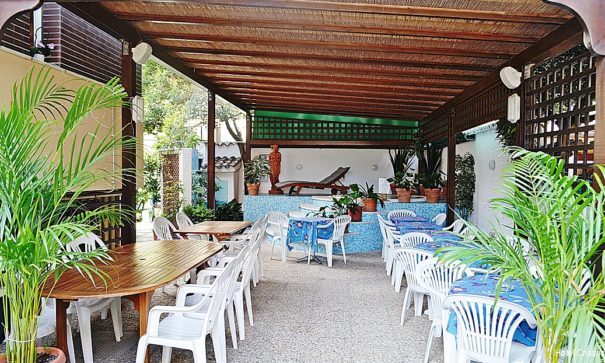 Фото 138686913387