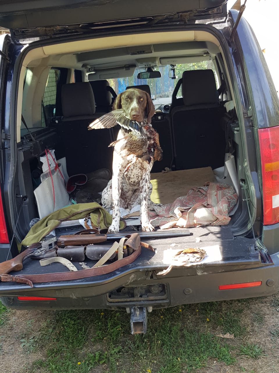 Фото Лепота