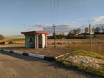 Селище (Magiliowski rajon, Kniazhycki sielsaviet, derevnya Selishche), public transport stop