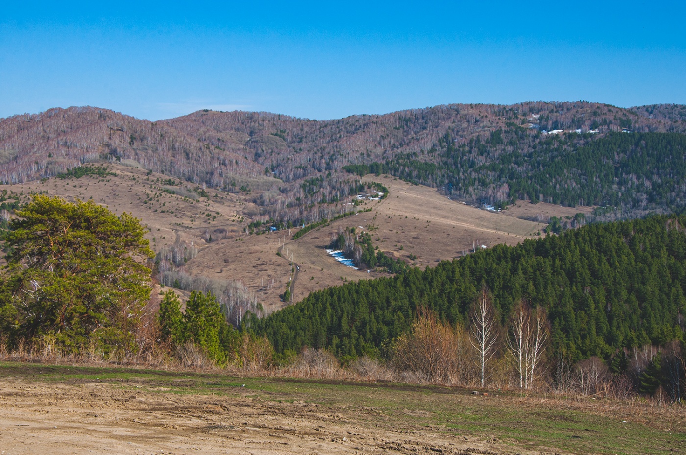 Фото Старые друзья Белокуриха