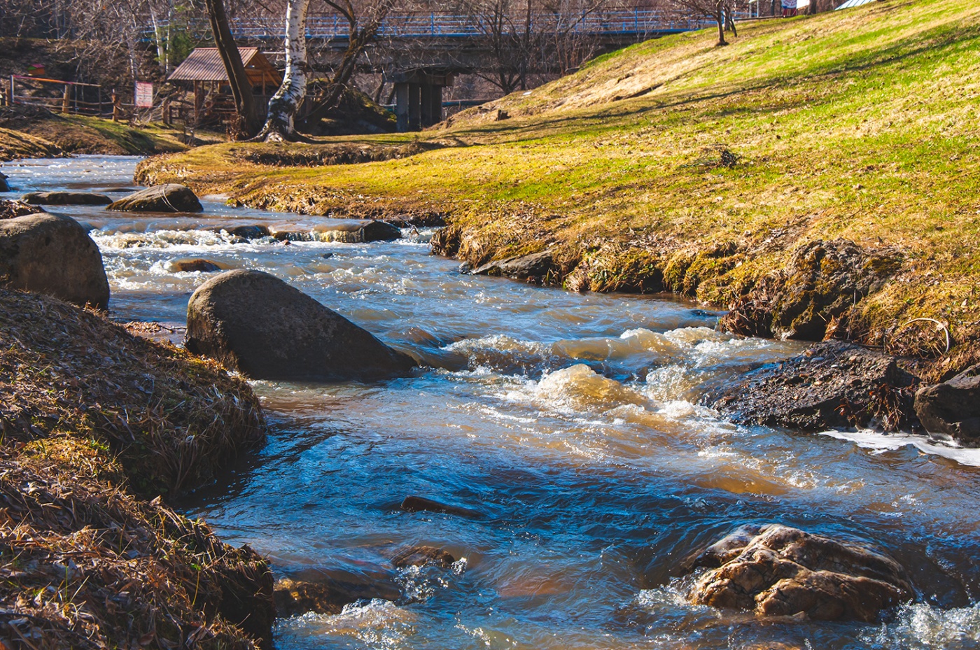 Фото Старые друзья Белокуриха