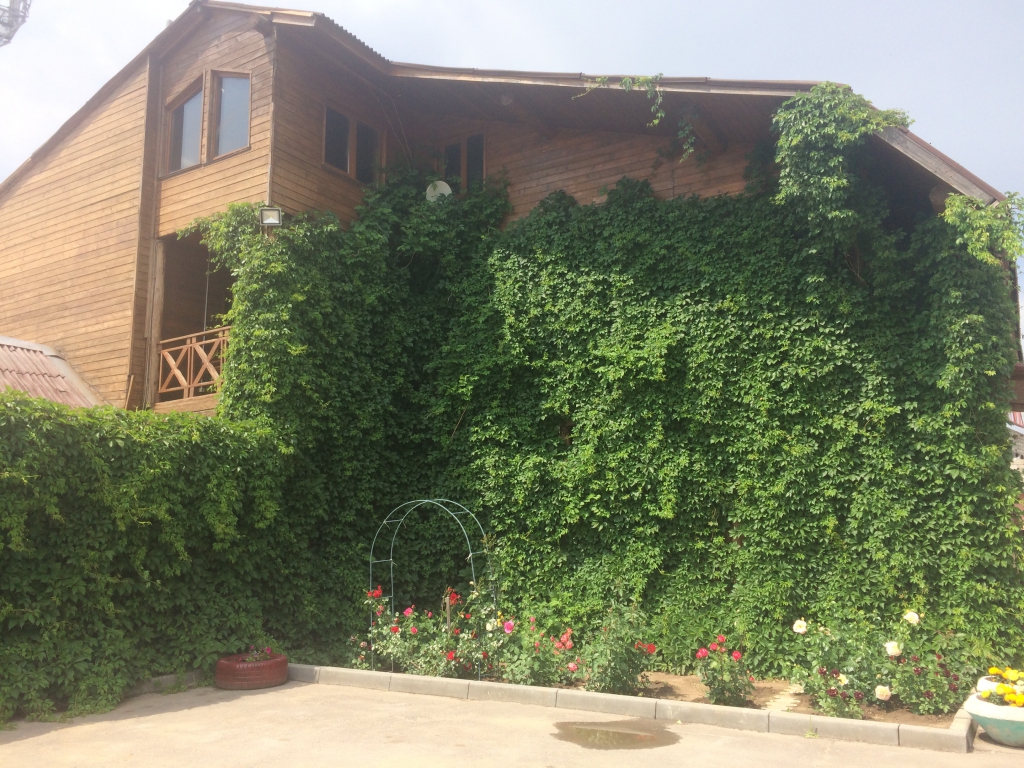 Фото Надежда