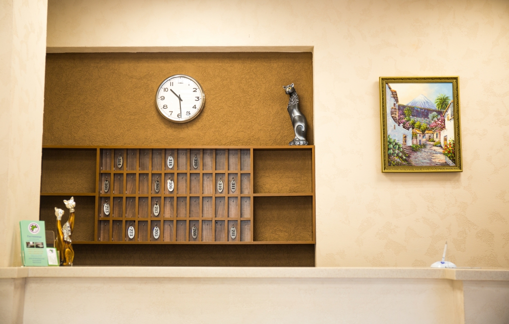 Фото Клевер