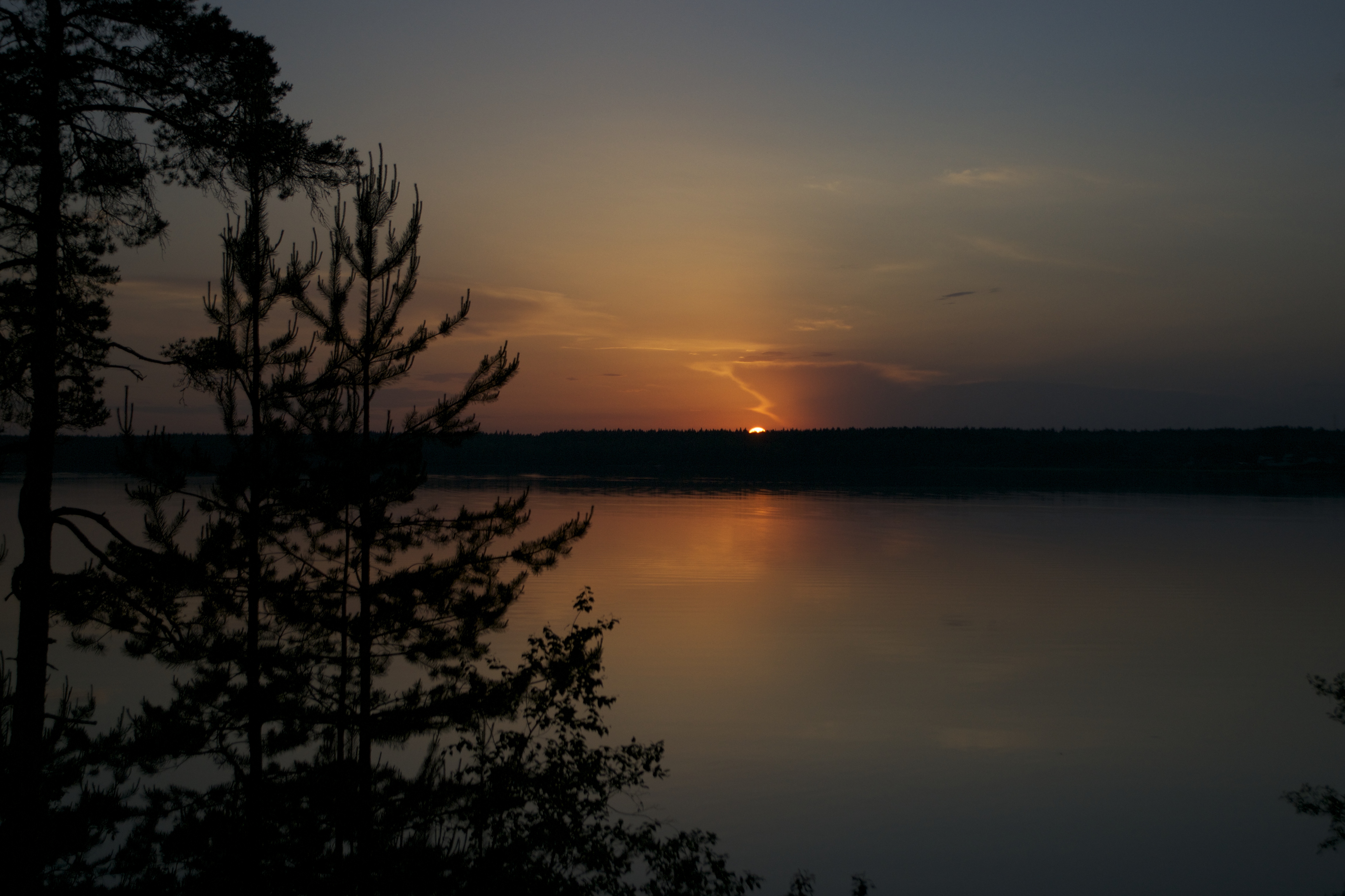 Фото Лесная Рапсодия