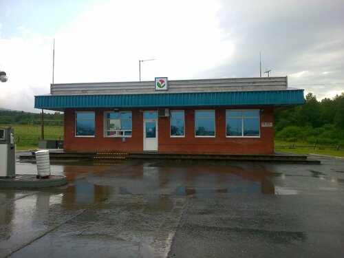 Gas station Башнефть, Chelyabinsk Oblast, photo