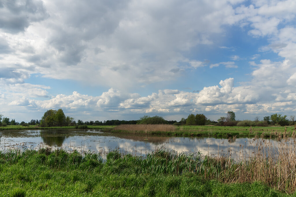 Москворецкий пойменный заказник карта