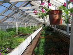 Teplichnoye khozyaystvo Rassada dlya sada (gorodskoy posyolok imeni Morozova, ulitsa Chekalova, 3), greenhouse