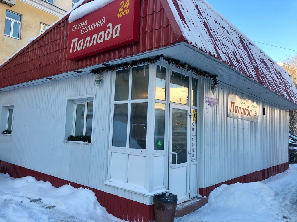 Паллада троицкий просп 60 стр 1 фото