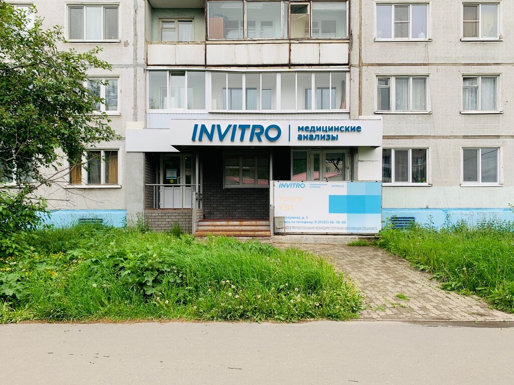 Invitro 23 микрорайон ленинградский фото