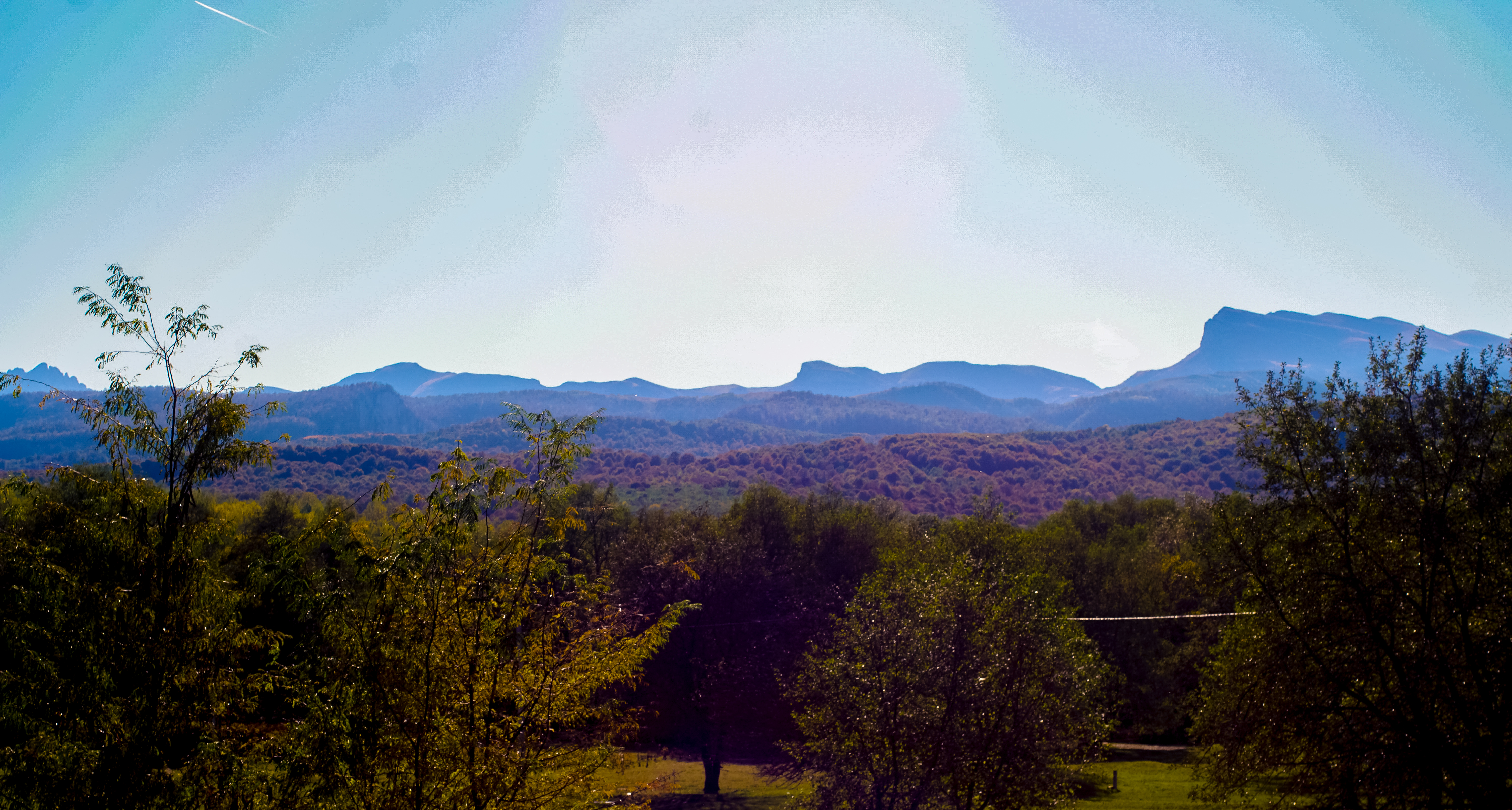 Фото Усадьба Заповедная
