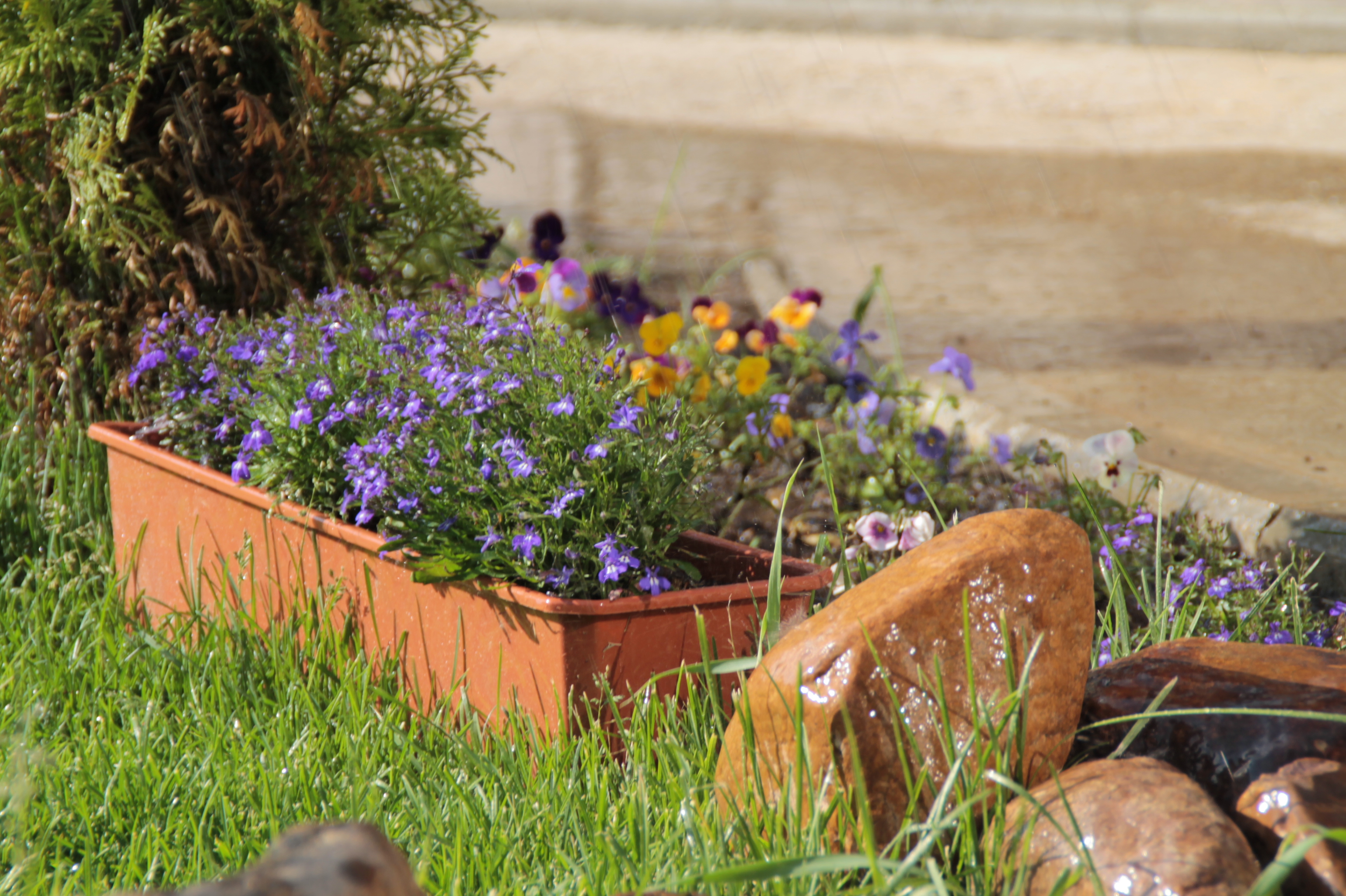 Фото Усадьба