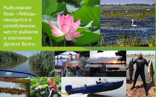 Турбаза Лебедь в Астраханской области