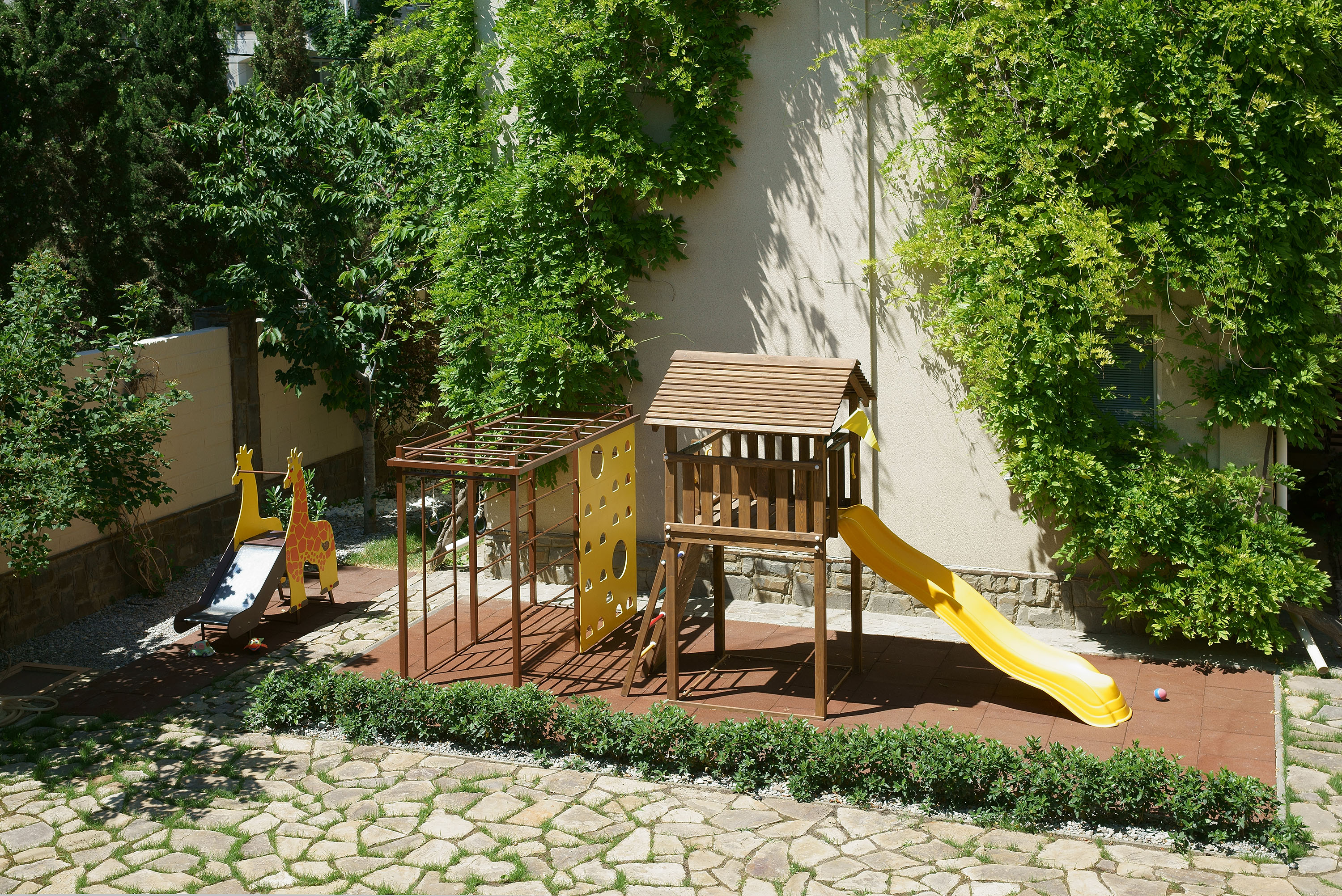 Фото Альяна