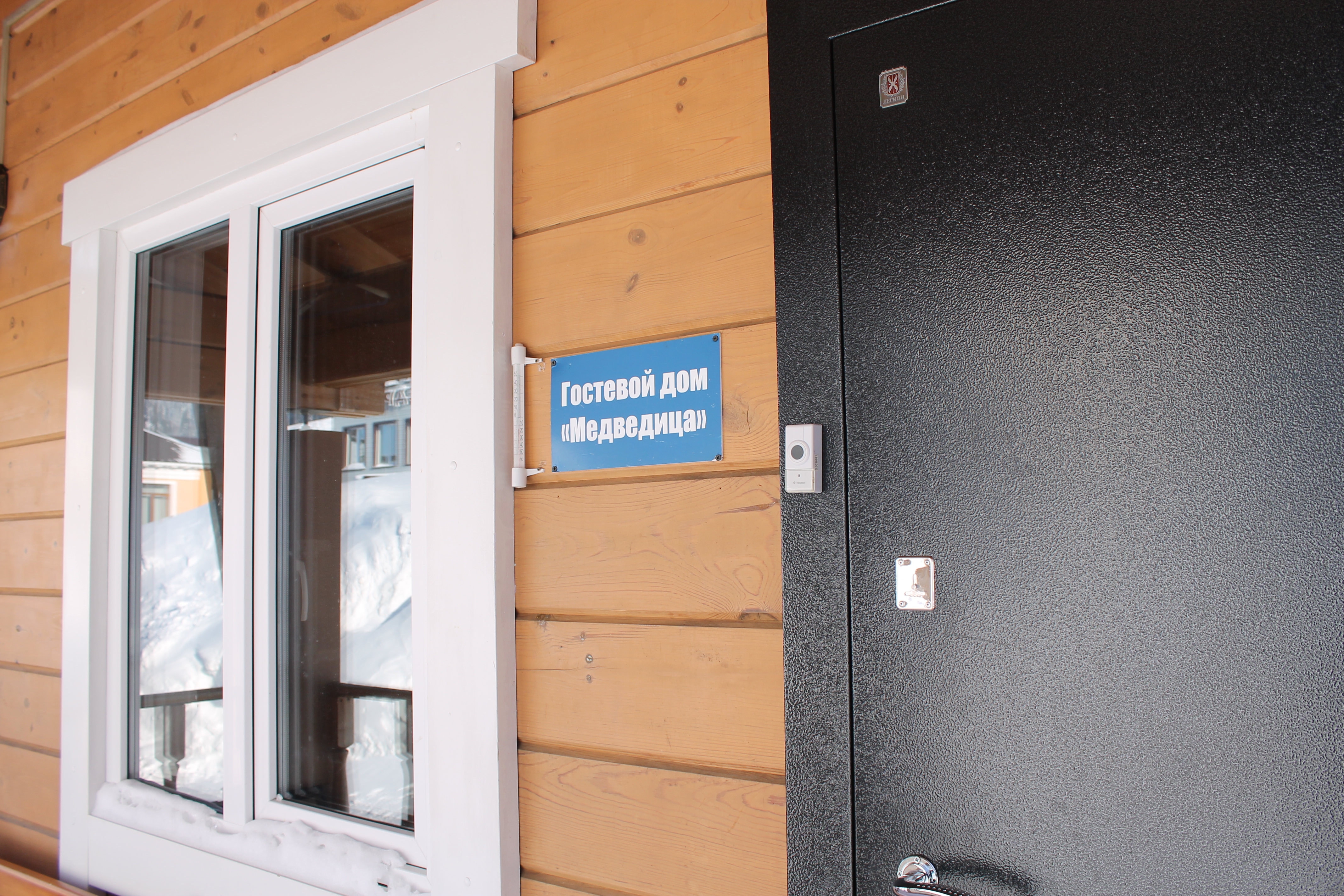 Фото Медведица