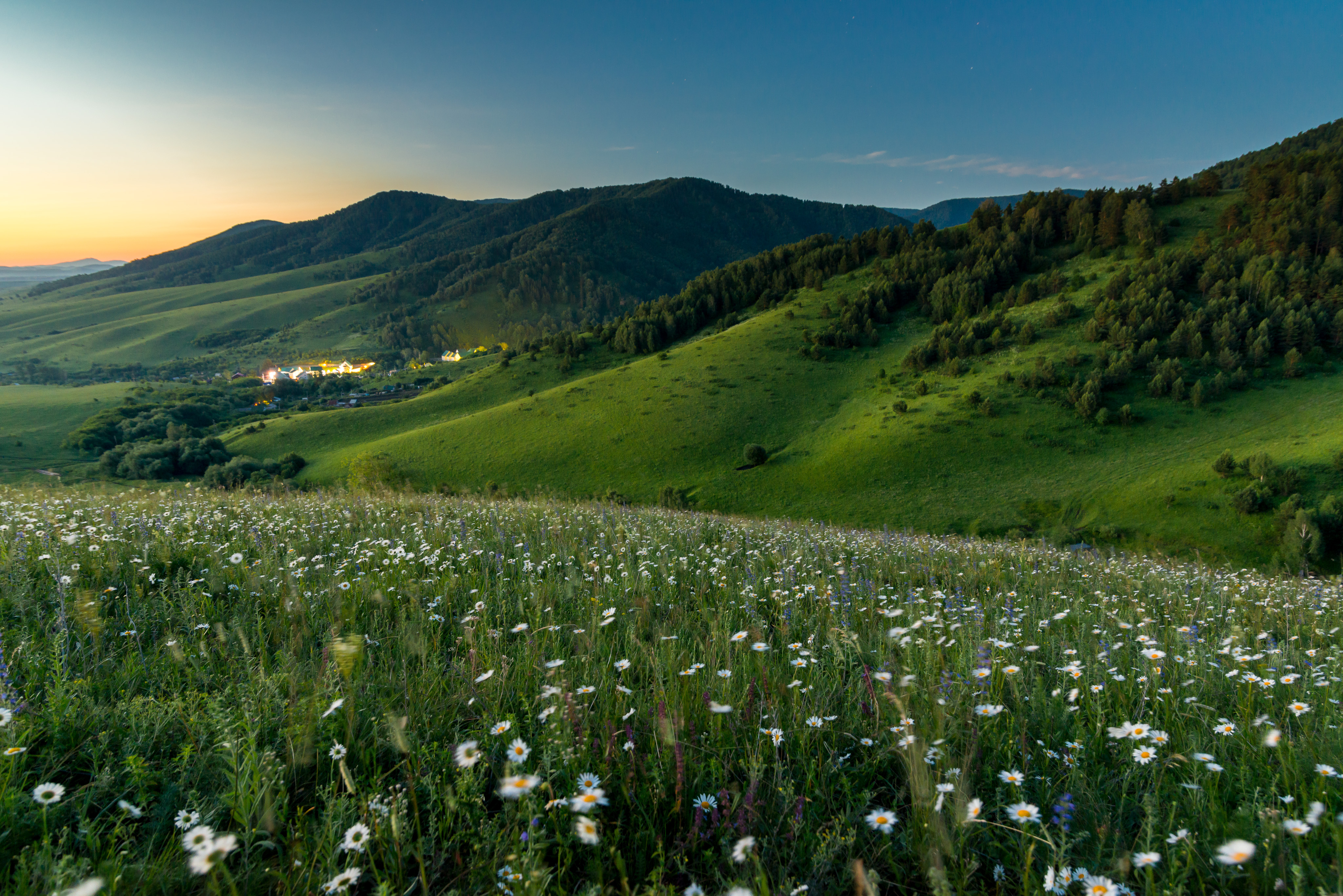 Фото Алтай West