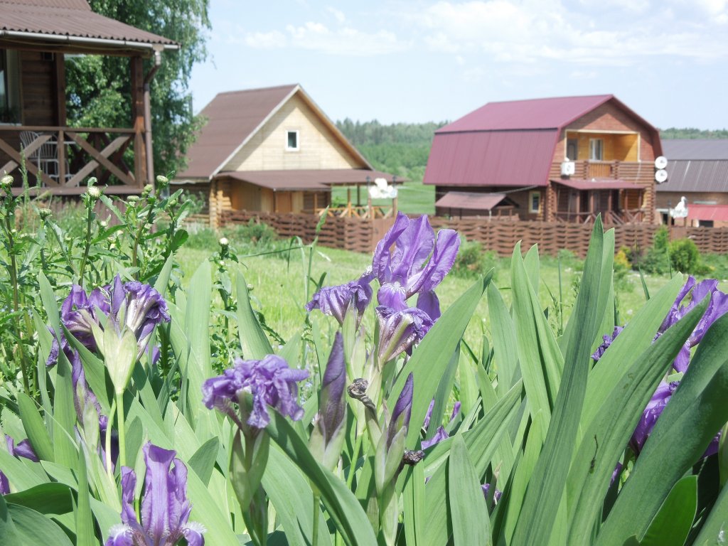 Фото Раздолье