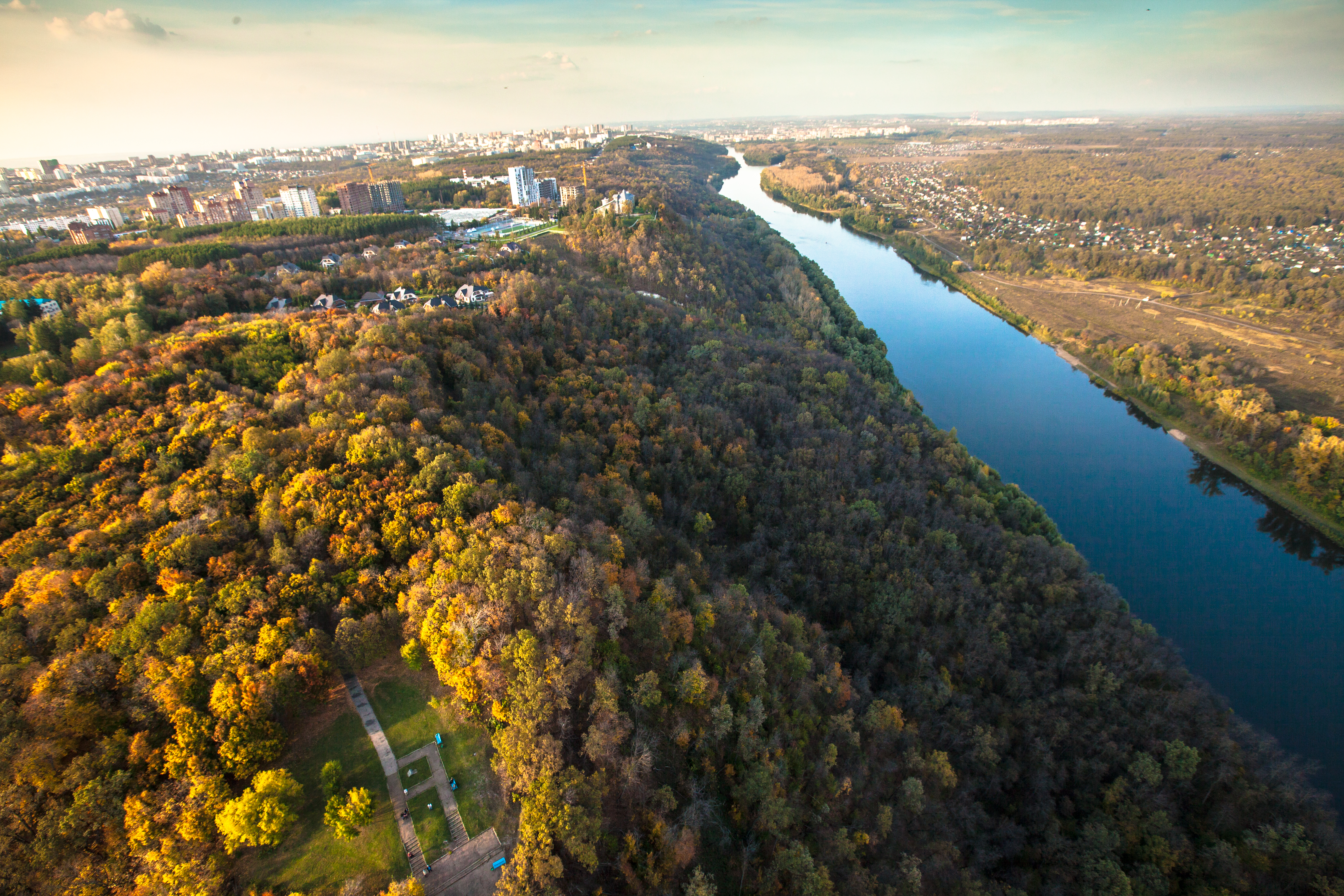 Фото Зеленая роща