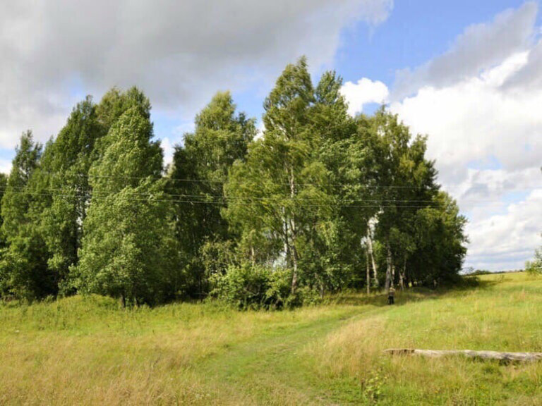 Nature Роща с древними сопками-курганами Священная роща, Saint‑Petersburg and Leningrad Oblast, photo