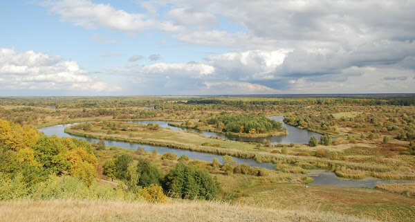 Nature reserve государственный природный заповедник Воронинский, Tambov Oblast, photo