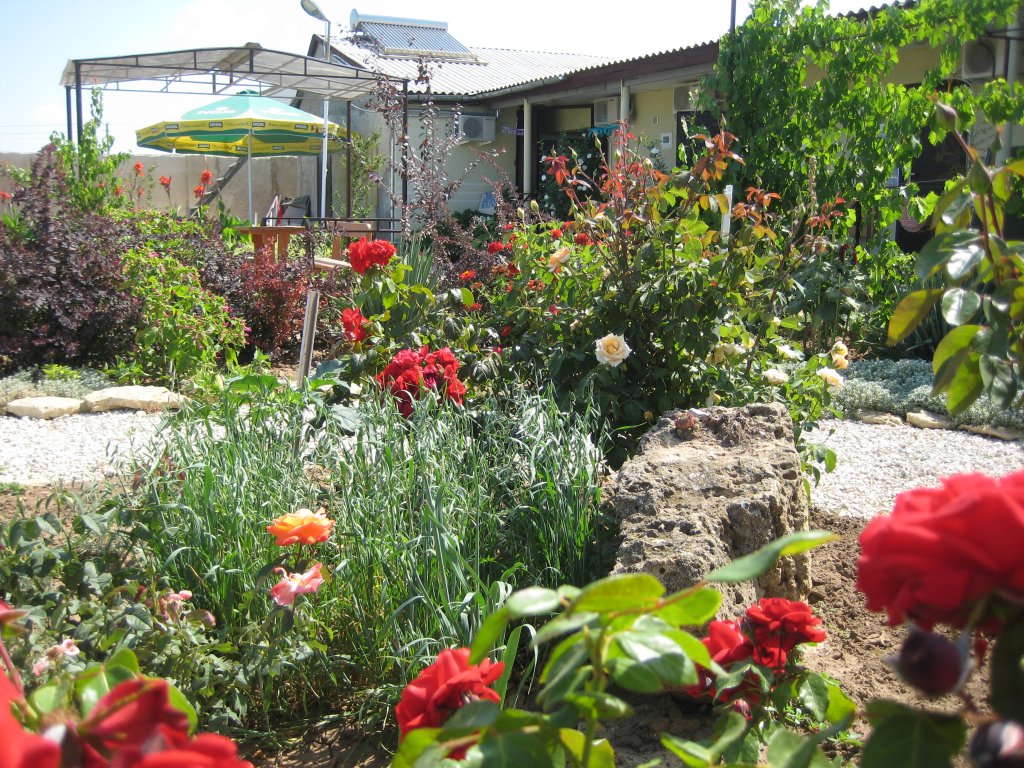 Фото Бумеранг