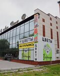 Veranda (Vladivostokskoye shosse, 69А), floristeria
