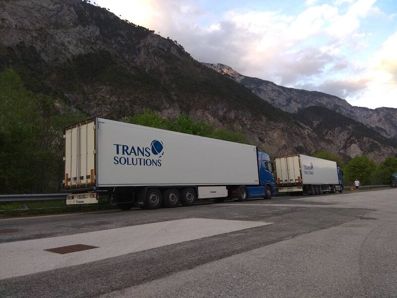 Қандай жыныс мүшесі бар? (фото)