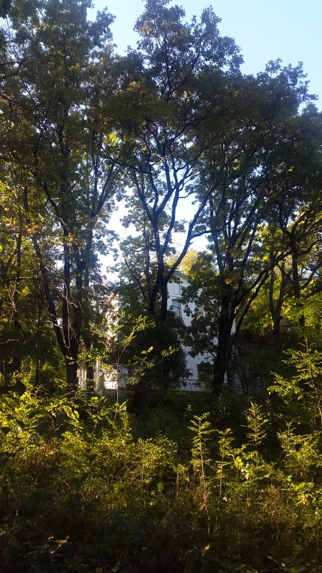 Фото Галина-чайка