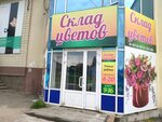 Склад цветов (ул. Ленина, 114), магазин цветов в Ижевске