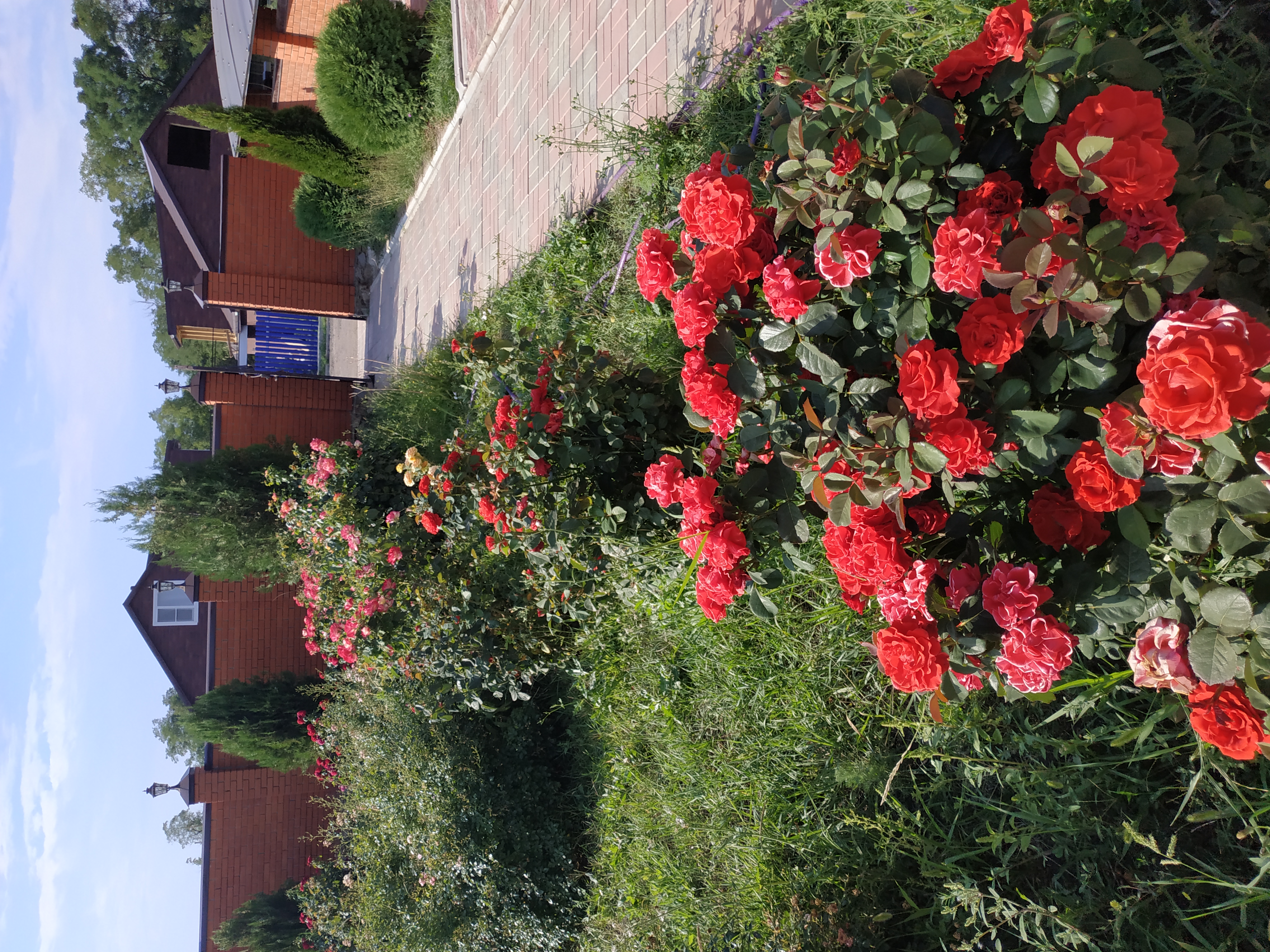 Фото Двор сурка