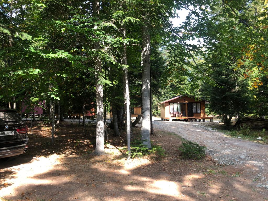 Фото Forest House Resort