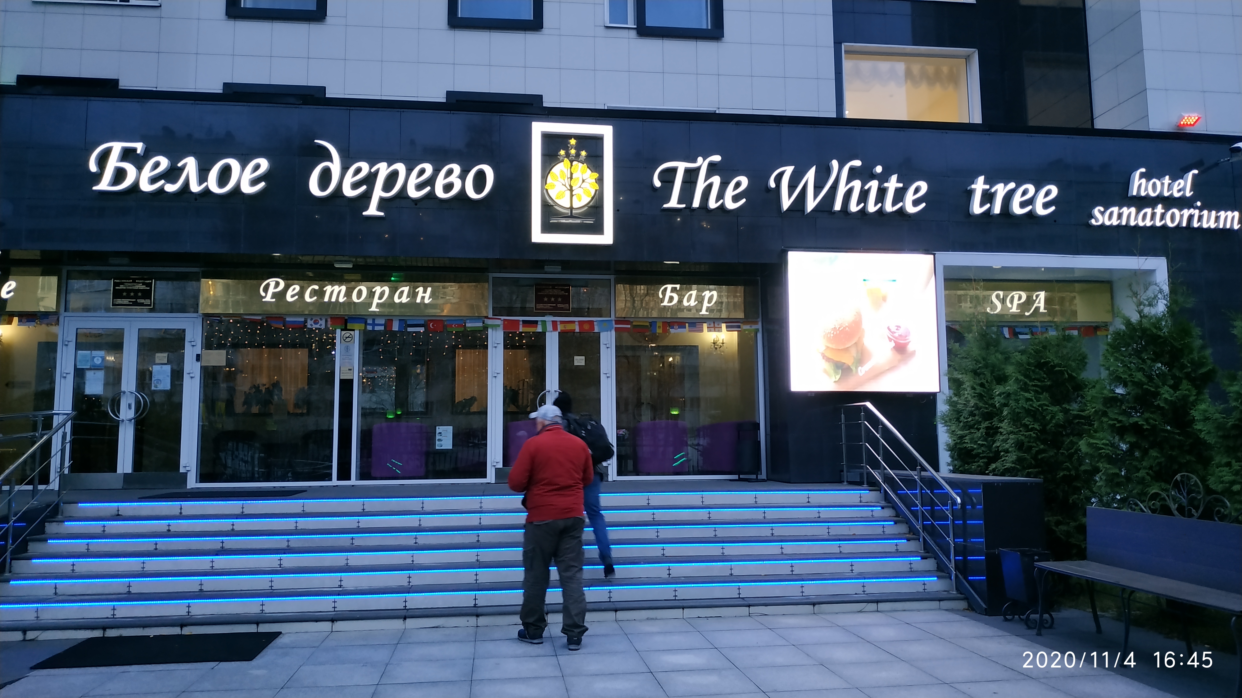 Фото Белое Дерево