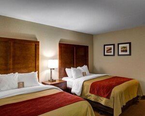 Гостиница Comfort Inn & Suites Covington - Mandeville