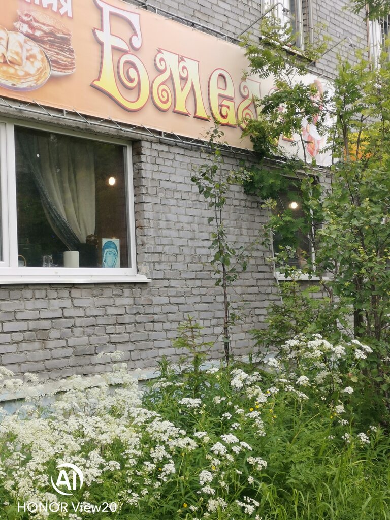 Кафе mangal ул бредова 5б апатиты фото