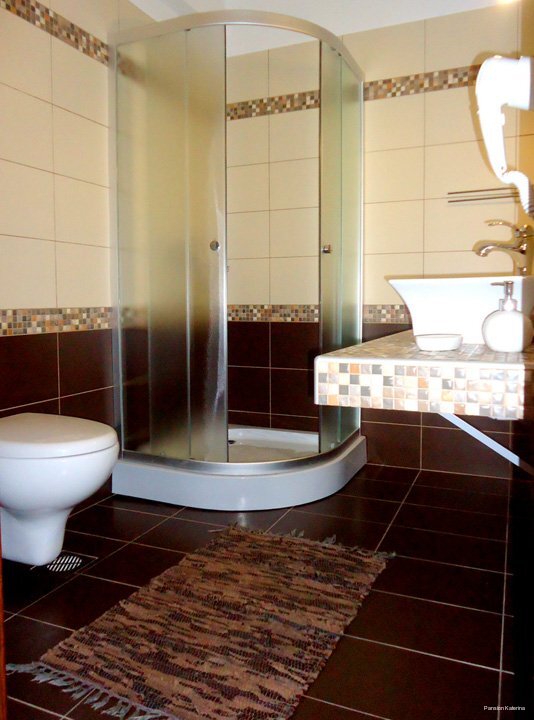 Фото Pansion Thanos