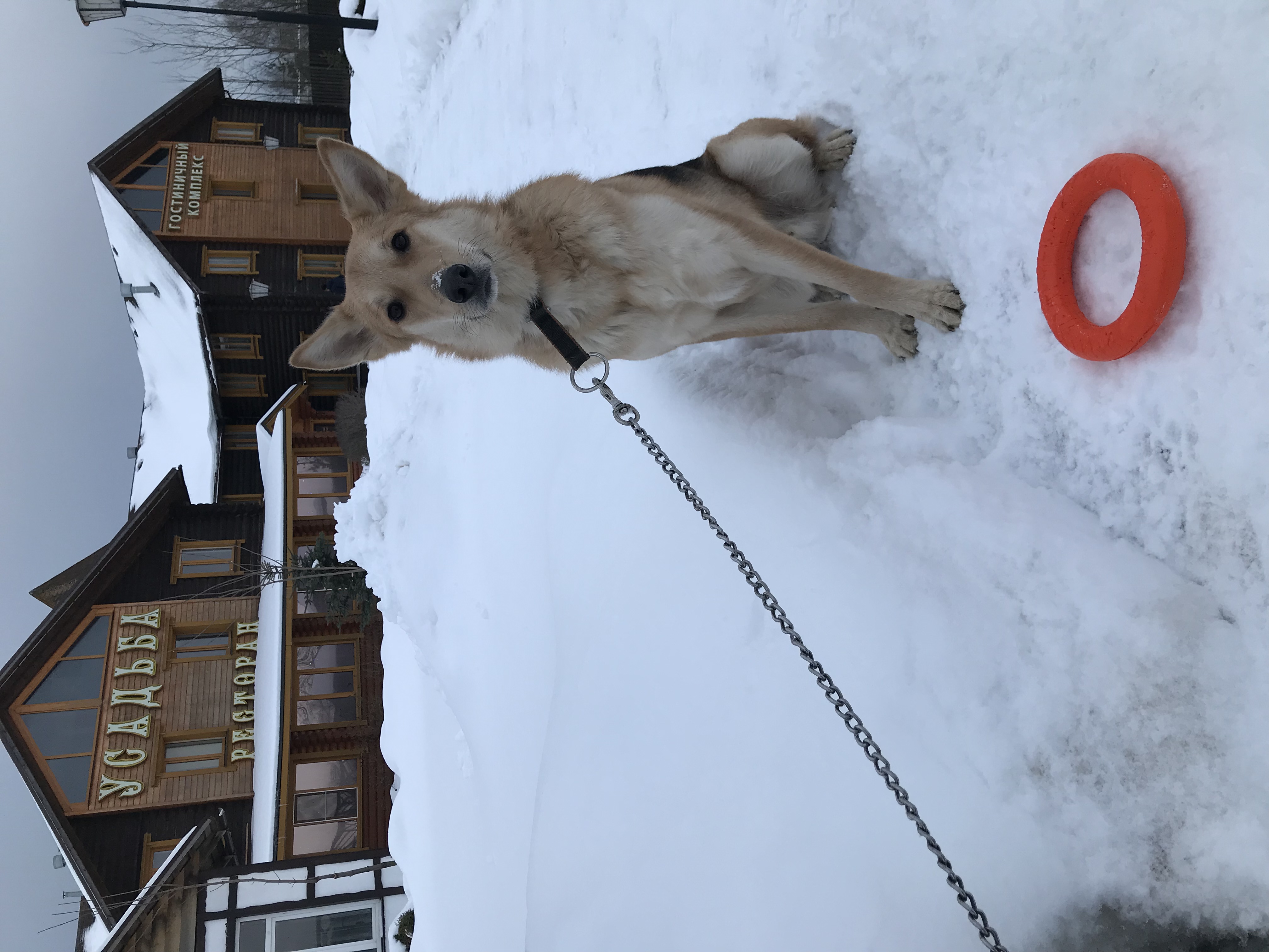 Фото Усадьба