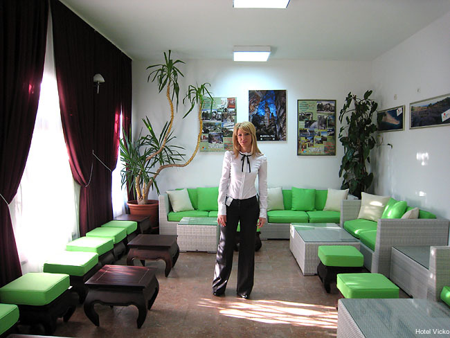 Фото Villa Vicko